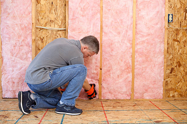 Best Insulation Inspection Services  in Cabot, AR